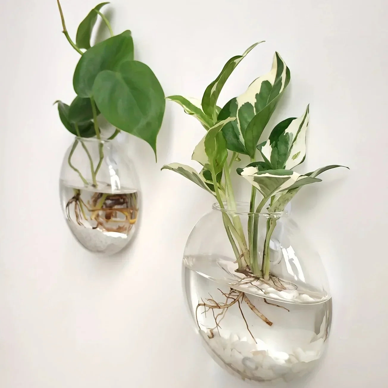 DecorBites™ Self-Watering Glass Terrarium Set for Home Décor
