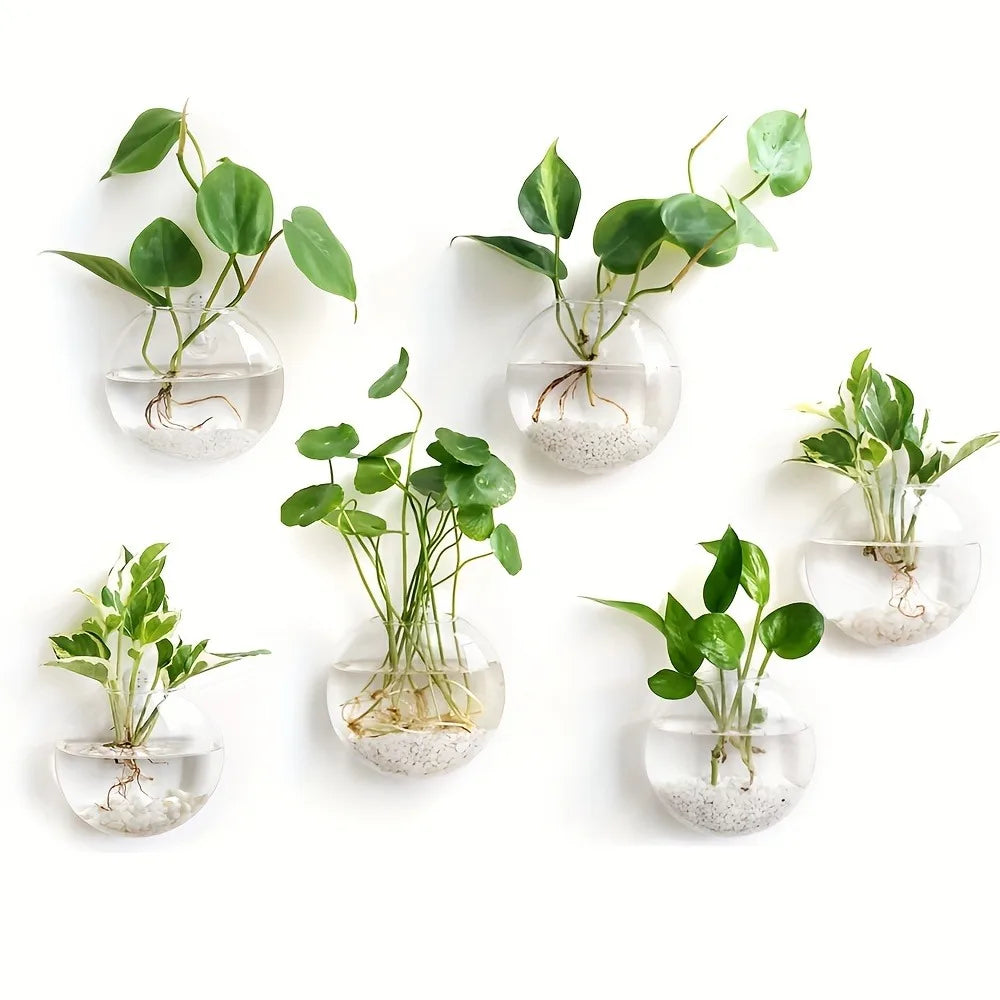 DecorBites™ Self-Watering Glass Terrarium Set for Home Décor