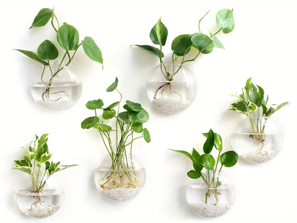 DecorBites™ Self-Watering Glass Terrarium Set for Home Décor