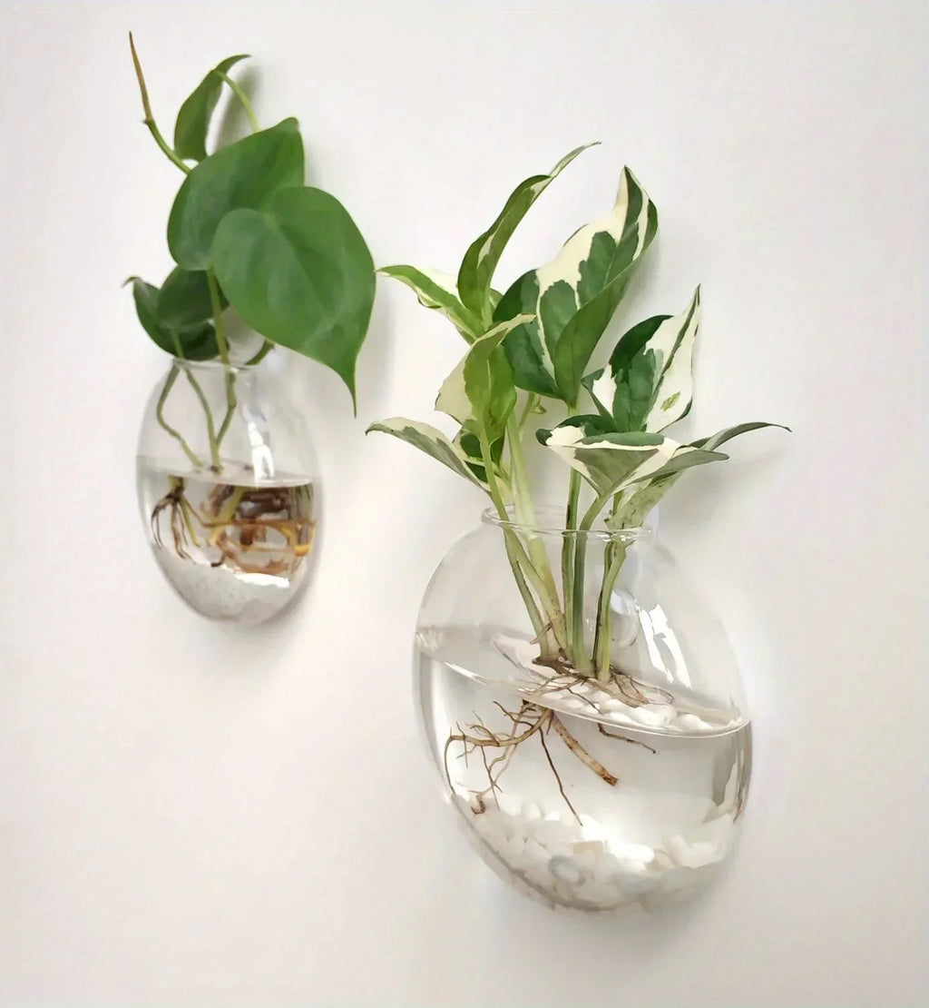 DecorBites™ Self-Watering Glass Terrarium Set for Home Décor