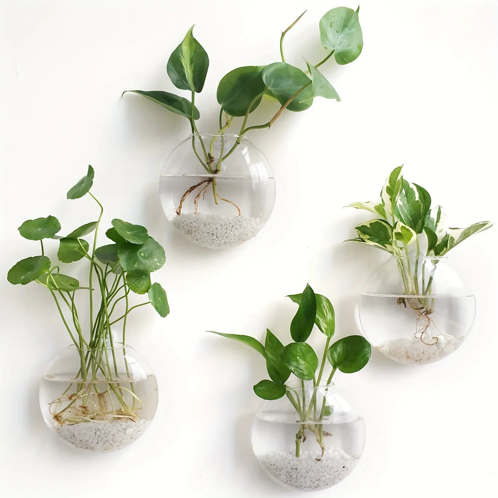 DecorBites™ Self-Watering Glass Terrarium Set for Home Décor