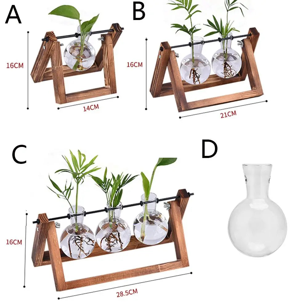 DecorBites™ Transparent Avocado Seed Starter Vase