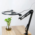 DecorBites™ Modern Black Swing Arm LED Mirror Light with USB Charging - Portable, Sleek Design