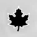 DecorBites™ Modern Maple Leaf Acrylic LED Wall Sconce Light in Warm/White