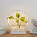 DecorBites™ Nordic Circle Table Lamp with Hydroponics Plant Pot Design and LED Night Light