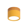 DecorBites™ Small Macaron Metal Flush Mount Ceiling Light for Kitchen Bar - Yellow/Blue/Black & Wood