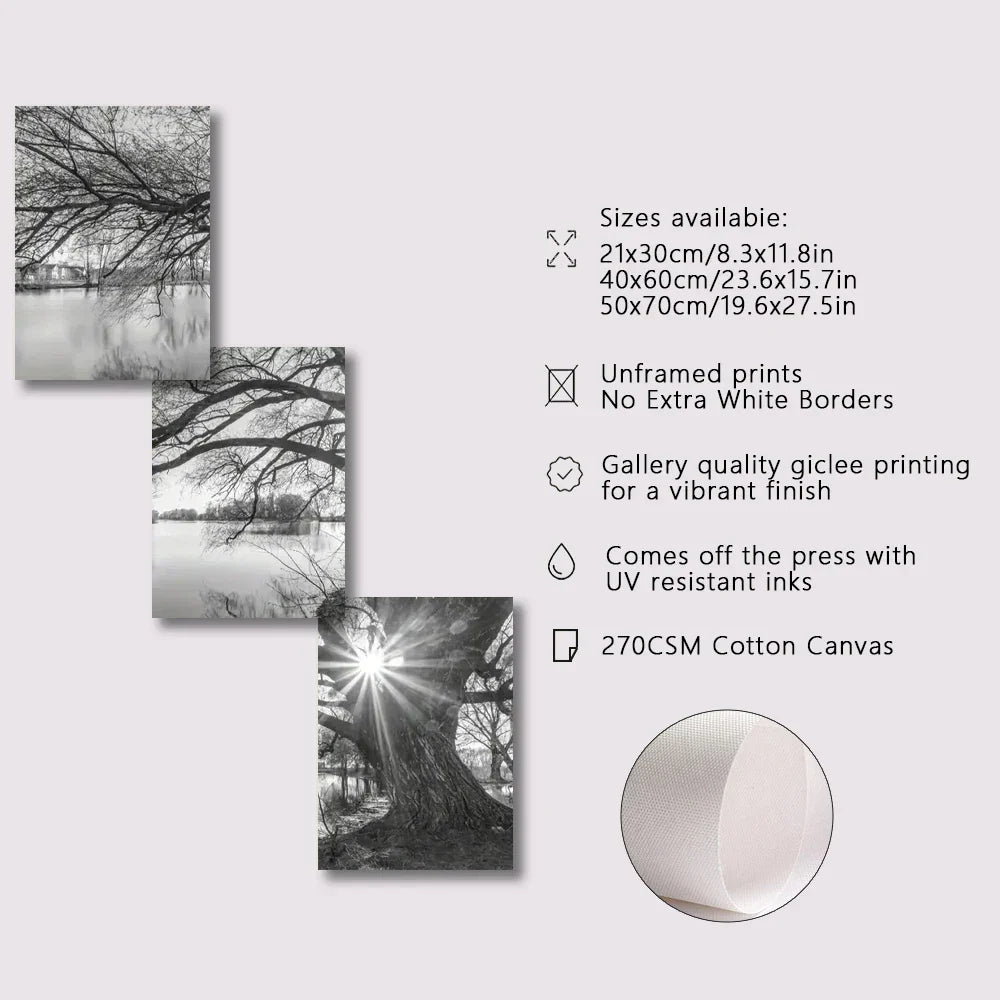 DecorBites™ "Stunning Big Tree Lake Sunset Canvas Posters"
