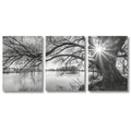 DecorBites™ "Stunning Big Tree Lake Sunset Canvas Posters"